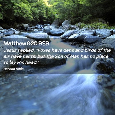 Picture 02 - Matthew 8:20 BSB - Jesus replied, “Foxes have dens and birds of - Bible Verse Picture