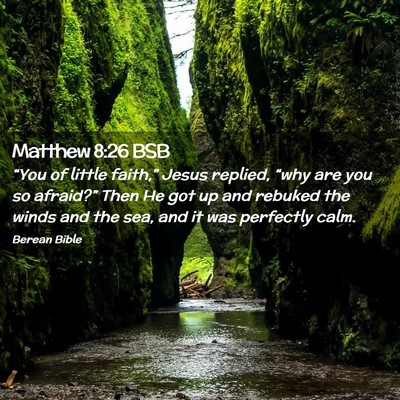 Picture 02 - Matthew 8:26 BSB - “You of little faith,” Jesus replied, “why - Bible Verse Picture