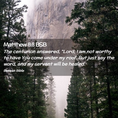Picture 02 - Matthew 8:8 BSB - The centurion answered, “Lord, I am not worthy - Bible Verse Picture