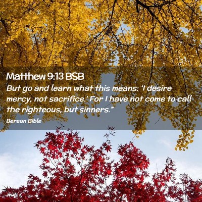 Picture 02 - Matthew 9:13 BSB - But go and learn what this means: ‘I desire - Bible Verse Picture