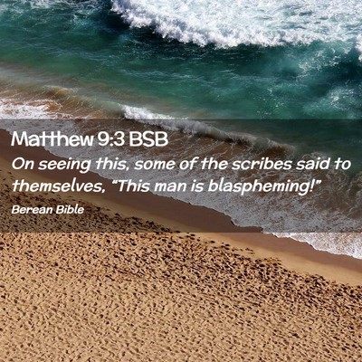 Picture 02 - Matthew 9:3 BSB - On seeing this, some of the scribes said to - Bible Verse Picture