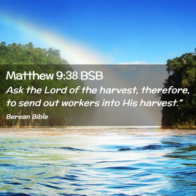 Picture 02 - Matthew 9:38 BSB - Ask the Lord of the harvest, therefore, to send - Bible Verse Picture