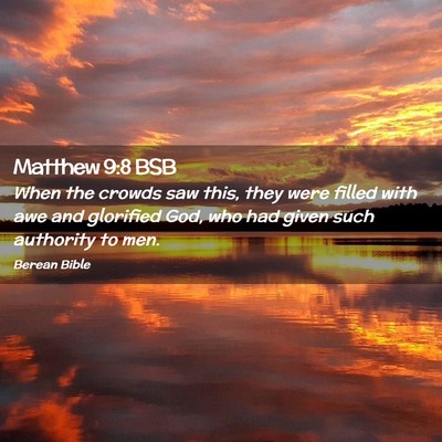 Picture 02 - Matthew 9:8 BSB - When the crowds saw this, they were filled with - Bible Verse Picture