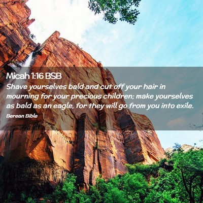 Picture 02 - Micah 1:16 BSB - Shave yourselves bald and cut off your hair in - Bible Verse Picture