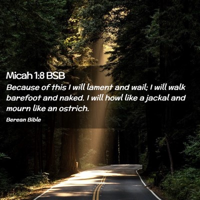 Picture 02 - Micah 1:8 BSB - Because of this I will lament and wail; I will - Bible Verse Picture