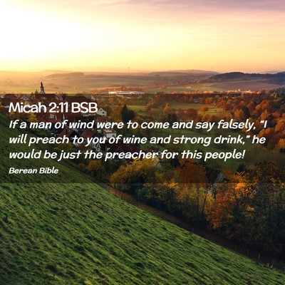 Picture 02 - Micah 2:11 BSB - If a man of wind were to come and say falsely, - Bible Verse Picture