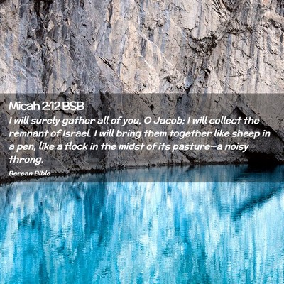 Picture 02 - Micah 2:12 BSB - I will surely gather all of you, O Jacob; I will - Bible Verse Picture