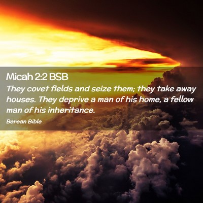 Picture 02 - Micah 2:2 BSB - They covet fields and seize them; they take away - Bible Verse Picture