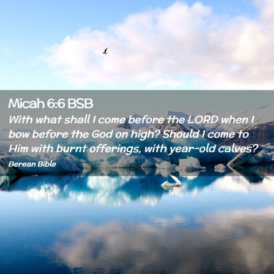 Picture 02 - Micah 6:6 BSB - With what shall I come before the LORD when I bow - Bible Verse Picture