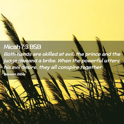 Picture 02 - Micah 7:3 BSB - Both hands are skilled at evil; the prince and - Bible Verse Picture