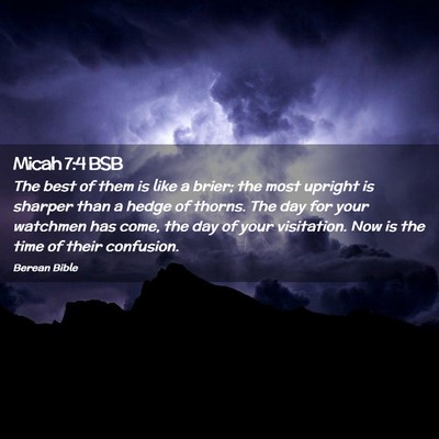 Picture 02 - Micah 7:4 BSB - The best of them is like a brier; the most - Bible Verse Picture