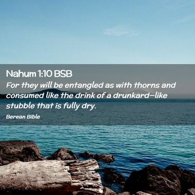 Picture 02 - Nahum 1:10 BSB - For they will be entangled as with thorns and - Bible Verse Picture