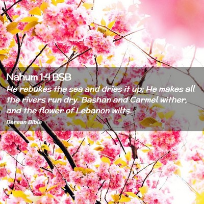 Picture 02 - Nahum 1:4 BSB - He rebukes the sea and dries it up; He makes all - Bible Verse Picture
