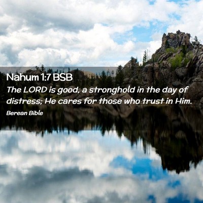 Picture 02 - Nahum 1:7 BSB - The LORD is good, a stronghold in the day of - Bible Verse Picture