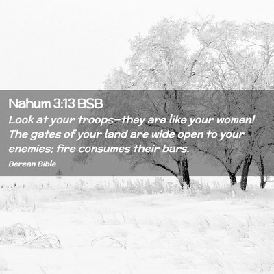 Picture 02 - Nahum 3:13 BSB - Look at your troops—they are like your women! - Bible Verse Picture