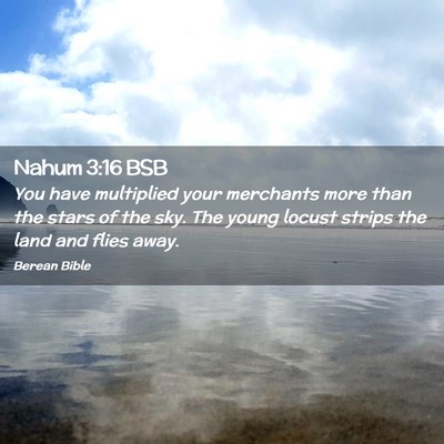 Picture 02 - Nahum 3:16 BSB - You have multiplied your merchants more than the - Bible Verse Picture