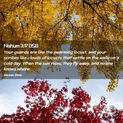 Picture 02 - Nahum 3:17 BSB - Your guards are like the swarming locust, and - Bible Verse Picture