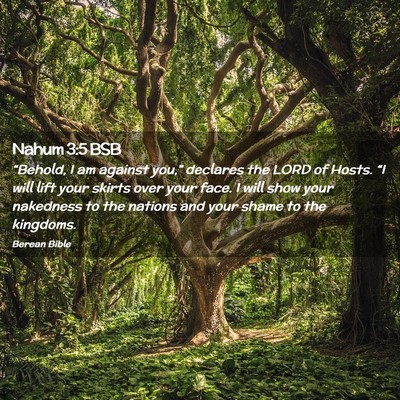 Picture 02 - Nahum 3:5 BSB - “Behold, I am against you,” declares the LORD - Bible Verse Picture