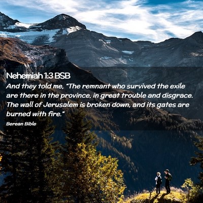 Picture 02 - Nehemiah 1:3 BSB - And they told me, “The remnant who survived the - Bible Verse Picture