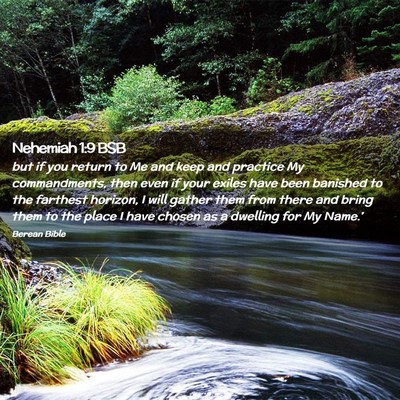 Picture 02 - Nehemiah 1:9 BSB - but if you return to Me and keep and practice My - Bible Verse Picture