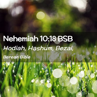 Picture 02 - Nehemiah 10:18 BSB - Hodiah, Hashum, - Bible Verse Picture