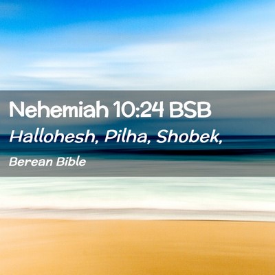 Picture 02 - Nehemiah 10:24 BSB - Hallohesh, Pilha, - Bible Verse Picture