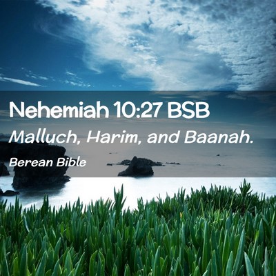 Picture 02 - Nehemiah 10:27 BSB - Malluch, Harim, and - Bible Verse Picture