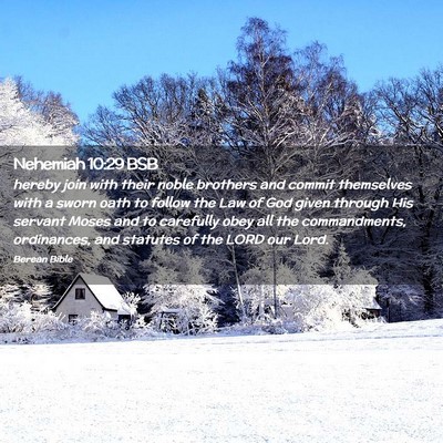 Picture 02 - Nehemiah 10:29 BSB - hereby join with their noble brothers and commit - Bible Verse Picture