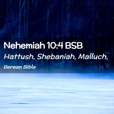 Picture 02 - Nehemiah 10:4 BSB - Hattush, Shebaniah, - Bible Verse Picture