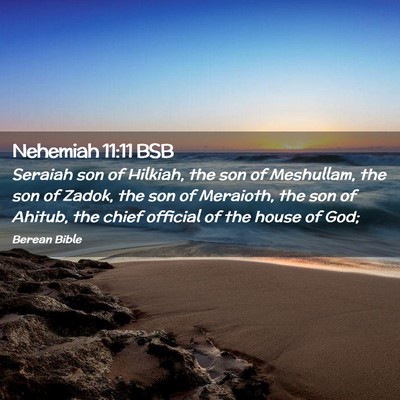 Picture 02 - Nehemiah 11:11 BSB - Seraiah son of Hilkiah, the son of Meshullam, the - Bible Verse Picture