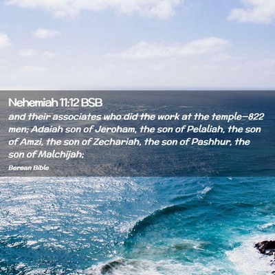 Picture 02 - Nehemiah 11:12 BSB - and their associates who did the work at the - Bible Verse Picture