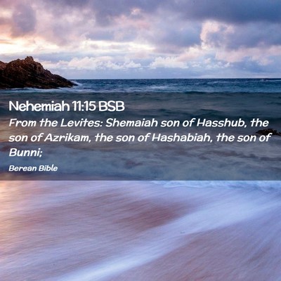 Picture 02 - Nehemiah 11:15 BSB - From the Levites: Shemaiah son of Hasshub, the - Bible Verse Picture