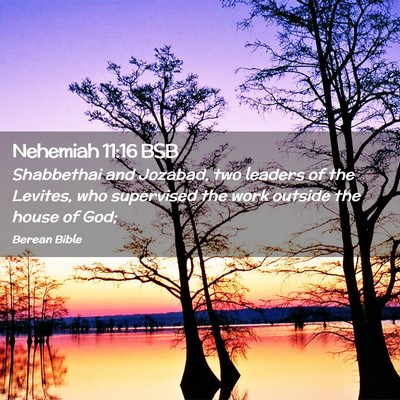 Picture 02 - Nehemiah 11:16 BSB - Shabbethai and Jozabad, two leaders of the - Bible Verse Picture