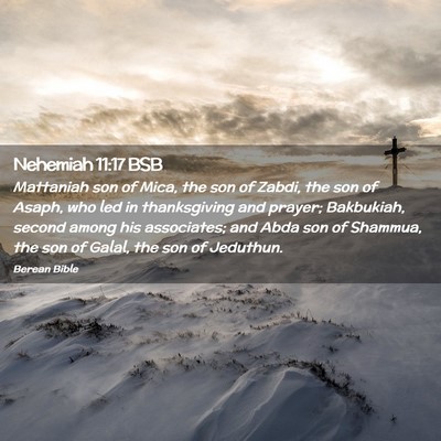 Picture 02 - Nehemiah 11:17 BSB - Mattaniah son of Mica, the son of Zabdi, the son - Bible Verse Picture