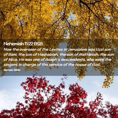 Picture 02 - Nehemiah 11:22 BSB - Now the overseer of the Levites in Jerusalem was - Bible Verse Picture