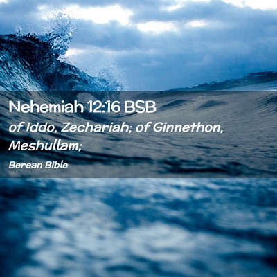 Picture 02 - Nehemiah 12:16 BSB - of Iddo, Zechariah; of Ginnethon, - Bible Verse Picture