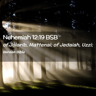 Picture 02 - Nehemiah 12:19 BSB - of Joiarib, Mattenai; of Jedaiah, - Bible Verse Picture
