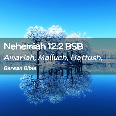 Picture 02 - Nehemiah 12:2 BSB - Amariah, Malluch, - Bible Verse Picture