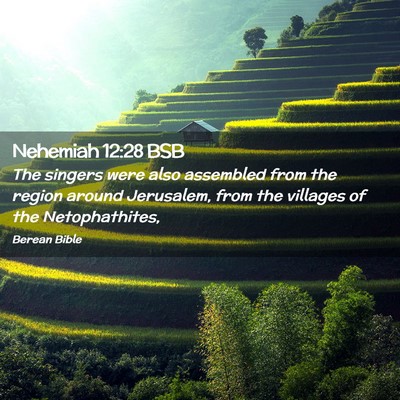 Picture 02 - Nehemiah 12:28 BSB - The singers were also assembled from the region - Bible Verse Picture