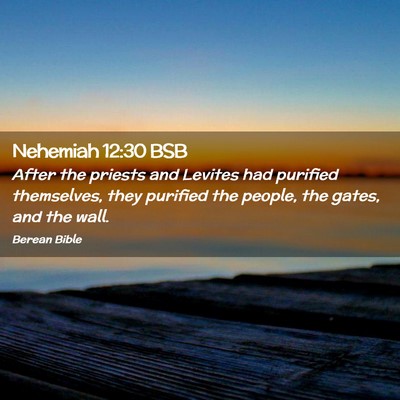 Picture 02 - Nehemiah 12:30 BSB - After the priests and Levites had purified - Bible Verse Picture