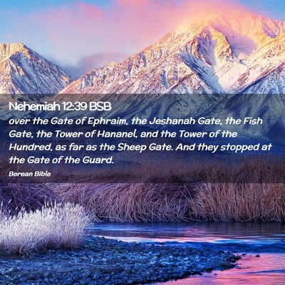 Picture 02 - Nehemiah 12:39 BSB - over the Gate of Ephraim, the Jeshanah Gate, the - Bible Verse Picture