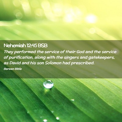 Picture 02 - Nehemiah 12:45 BSB - They performed the service of their God and the - Bible Verse Picture