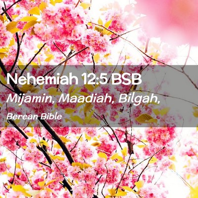 Picture 02 - Nehemiah 12:5 BSB - Mijamin, Maadiah, - Bible Verse Picture