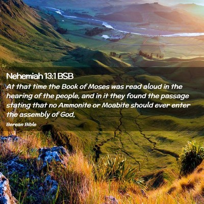 Picture 02 - Nehemiah 13:1 BSB - At that time the Book of Moses was read aloud in - Bible Verse Picture