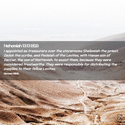 Picture 02 - Nehemiah 13:13 BSB - I appointed as treasurers over the storerooms - Bible Verse Picture