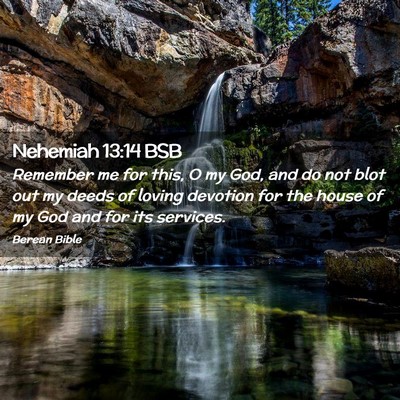 Picture 02 - Nehemiah 13:14 BSB - Remember me for this, O my God, and do not blot - Bible Verse Picture