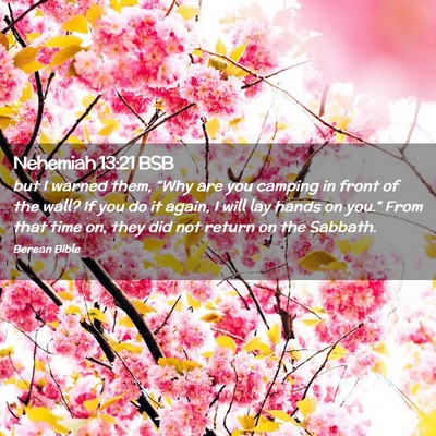 Picture 02 - Nehemiah 13:21 BSB - but I warned them, “Why are you camping in - Bible Verse Picture