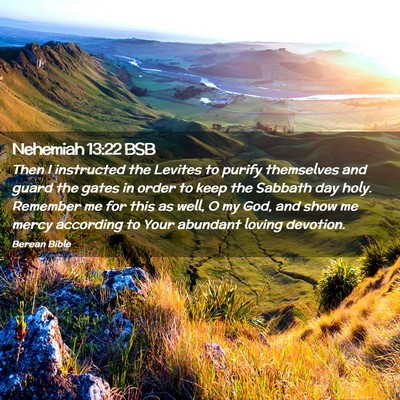 Picture 02 - Nehemiah 13:22 BSB - Then I instructed the Levites to purify - Bible Verse Picture