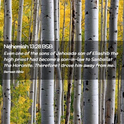 Picture 02 - Nehemiah 13:28 BSB - Even one of the sons of Jehoiada son of Eliashib - Bible Verse Picture