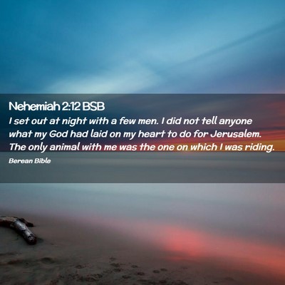Picture 02 - Nehemiah 2:12 BSB - I set out at night with a few men. I did not tell - Bible Verse Picture